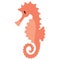 Cute orange seahorse cartoon vector illustration motif set. Hand drawn isolated ocean animals elements clipart for nautical