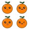 Cute orange vector mascot design set collection