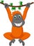 Cute orangutan cartoon hanging