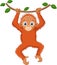 Cute orangutan cartoon hanging on tree branch