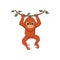 Cute orangutan cartoon hanging on a tree branch