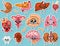 Cute organs. Happy human, Set of smiling characters. Vector pins, cartoon kawaii icons. Healthy heart, stomach, liver