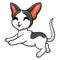 Cute oriental cat cartoon posing