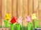 Cute Origami flowers on background