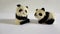 Cute ornamental playful miniature pandas