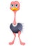 Cute ostrich cartoon