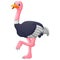 Cute ostrich cartoon