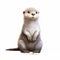 Cute Otter Illustration In Realistic Hyper-detailed Style