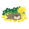 Cute Otter sleeping on flower field