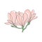 Cute outline drawing of blooming magnolia twig.Vector aesthetic contour illustration