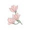 Cute outline drawing of blooming magnolia twig.Vector aesthetic contour illustration