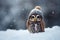 Cute owl cap winter. Generate Ai