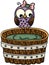 Cute owl with wooden tub for a bath