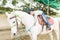 Cute Owner Hugging Horse In Stable