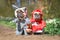 Cute pair of French Bulldog dogs dressed up as fairytale characters Little Red Riding Hood and Big Bad Wolf with costumes