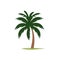 Cute palm tree vector illustration design element, isolated on white background