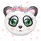 Cute panda cartoon girl face with bright expressive eyes with flowers and stars