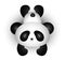 Cute Panda Cartoon Lift His Body