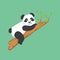 Cute Panda Character Climbing A Tree Illustration