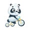 Cute Panda Character Cycling Along the Road Vector Illustration