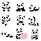 Cute panda characters. Chinese bear newborn happy pandas toy vector mascot design isolated
