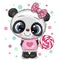 Cute Panda in a dress and with Lollipop