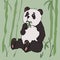 Cute panda eat bamboo. Drawn in cartoon style