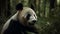 Cute panda eating bamboo in the wild, close up of animal generated by AI