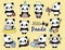 Cute Panda Planner Activities