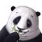 Cute panda portrait eating bamboo leaves, pencils illustration, animal clipart