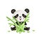 Cute panda sitting on floor and holding green bamboo sticks. Cartoon character of tropical animal. Flatvector design for