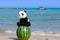 A cute panda stuffed toy sitting on a whole watermelon on the beach with blue ocean in summer.