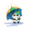 Cute panda with an umbrella. Wildlife, ecology, peace and friendship.