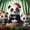cute pandas wearing santa hats