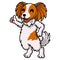 Cute papillon dog cartoon giving thumb up