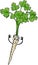 Cute parsley root vegetable cartoon illustration