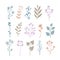 Cute pastel  set of plant silhouettes, delicate flowers and plants for decoration