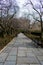 A cute pathway lined with trees