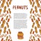 Cute peanuts template. Sketched nuts hand drawn vector background. For your packaging design, healthy food magazine page.