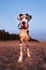 Cute pedigree dog on sandy beach in summer