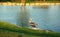 Cute pelican preparing to fly away. Blue water and green trees on background. Aruba nature.