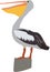 Cute pelican vector