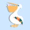 Cute pelican vector cartoon illustration. Wild zoo animal icon. Adorable bird childish character. Simple flat design element for k