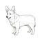 cute Pembroke Welsh Corgi Dog ai generated