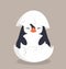 Cute penguin hatched in egg