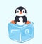 Cute Penguin on ice cube