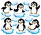 Cute penguins collection