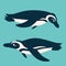 Cute penguins underwater. Antarctic birds swimming, looking to each other. Vector illustration of two penguins in flat