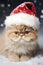 Cute Persian cat with Santa Claus Christmas hat in snow