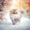 Cute persian kitten in a snowy winter landscape with falling snow and soft lighting